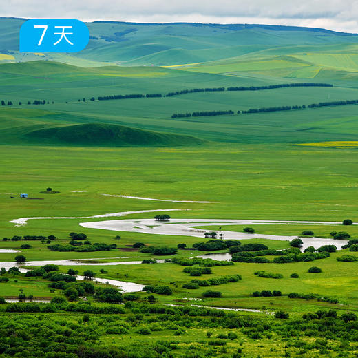 呼伦贝尔 走进草原的家 | 松弛不赶路 探访草原深处牧民家 读行满洲里  16人精品小团 7日 商品图1