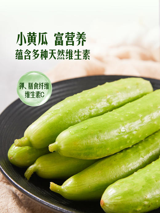 MM 山姆 奶油小黄瓜 850g 商品图5
