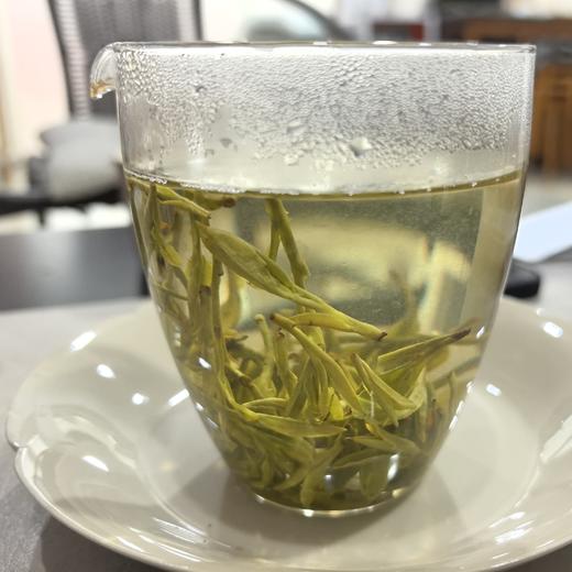 2026年富阳龙井3/28鲜叶 龙井43号鲜叶 杀青透无青气 商品图1