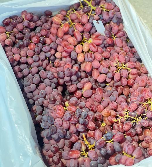 周日取货：【澳洲无籽红提】一份1.5斤左右，脆嫩，无籽，纯甜。 商品图2