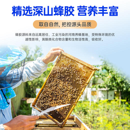 黄金搭档蜂胶含片成人润喉保护嗓子咽喉含片润喉 商品图1