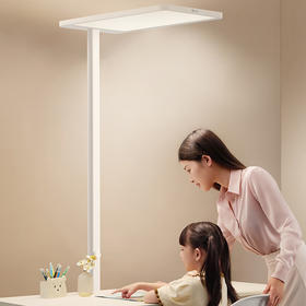 公牛 大路灯 ML-L100B