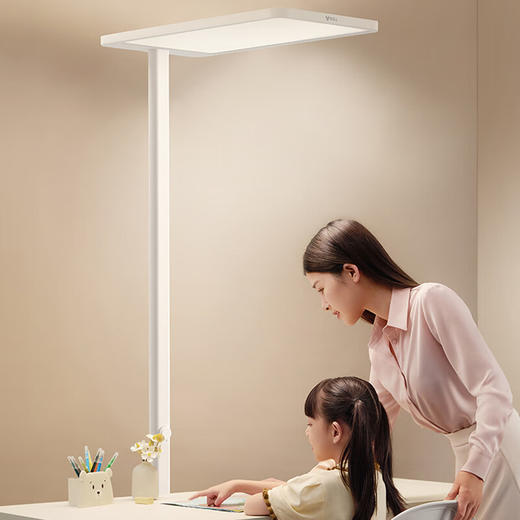 公牛 大路灯 ML-L100B 商品图0