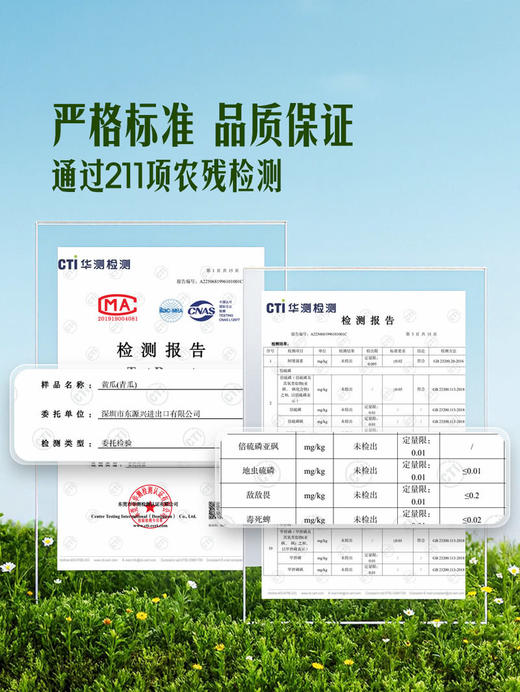 MM 山姆 黄瓜 1kg 商品图3