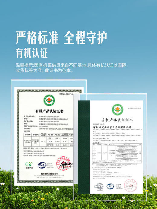 MM 山姆 Member's Mark 有机红洋葱 1kg 商品图3