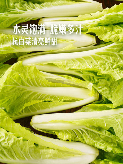 MM 山姆 Member's Mark 有机杭白菜苗 600g 商品图5