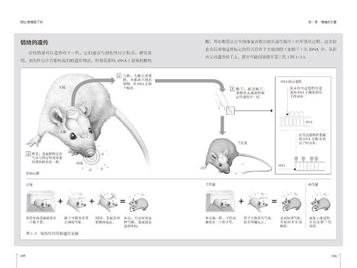 《别让情绪毁了你》 商品图3