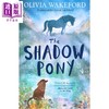 【中商原版】暗影小马 David Litchfield The Shadow Pony 英文原版 儿童文学 黑白插图中级小说故事 感人至深 进口童书 9岁+ 商品缩略图0