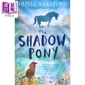 【中商原版】暗影小马 David Litchfield The Shadow Pony 英文原版 儿童文学 黑白插图中级小说故事 感人至深 进口童书 9岁+