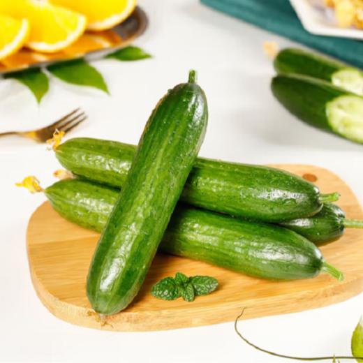 山东水果小黄瓜，现摘现发，清脆爽口，美味多汁，可以直接生吃的优质果蔬，低热量，老少皆宜~ 商品图2