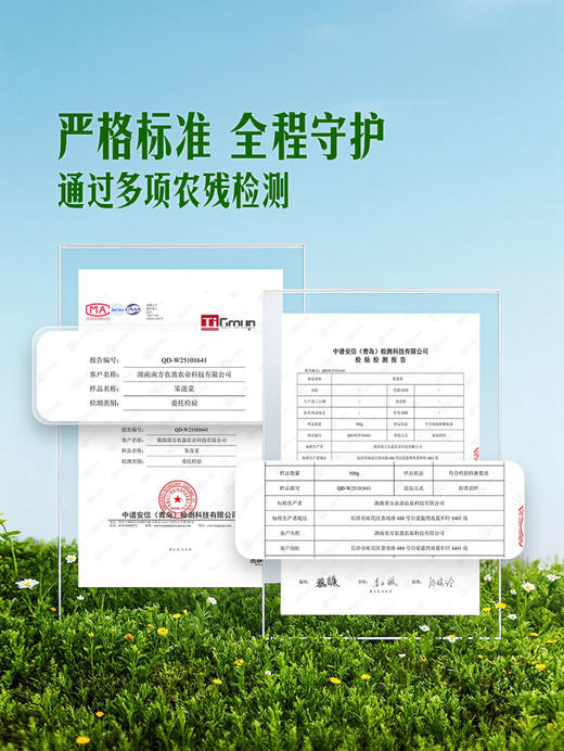 MM 山姆 笨菠菜 400g 商品图3