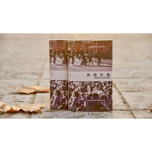 美国折叠：置身事外的反思与批判 商品图8