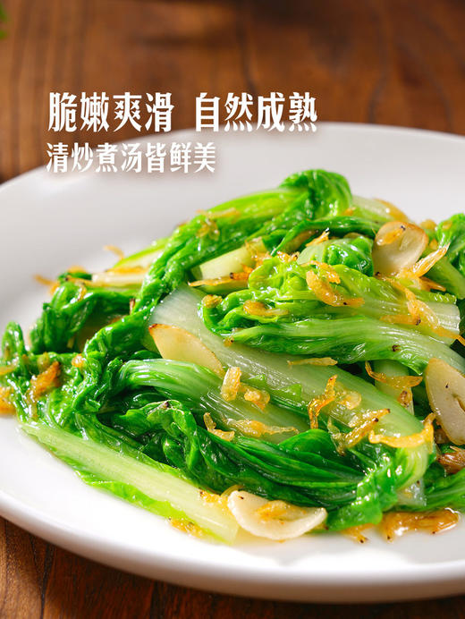 MM 山姆 Member's Mark 有机杭白菜苗 600g 商品图2