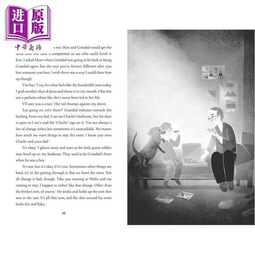 【中商原版】暗影小马 David Litchfield The Shadow Pony 英文原版 儿童文学 黑白插图中级小说故事 感人至深 进口童书 9岁+ 商品图3