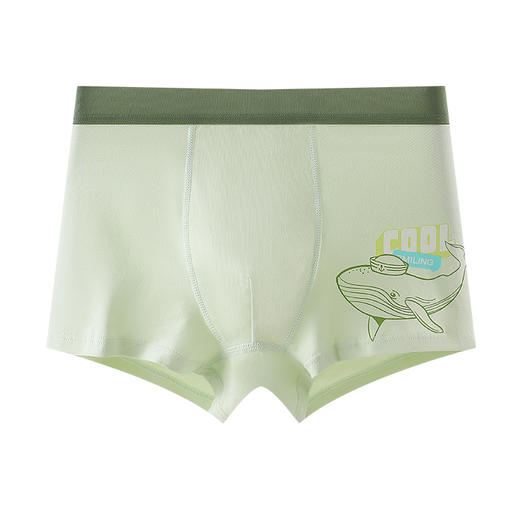 青少年启航裤，一盒4条装➕送2条（到手6条，颜色随机）童童树青少年启航裤男初中生纯棉10抑菌裆透气高弹不卡裆平角内裤 商品图10