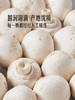 MM 山姆 白蘑菇 700g（350g*2） 商品缩略图4