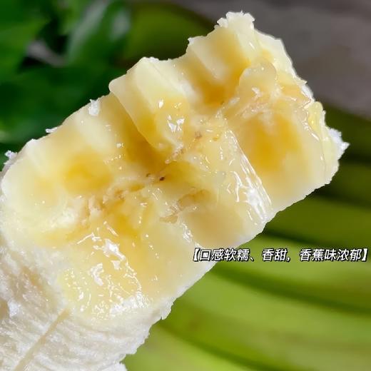 云南威尼斯绿皮甜香蕉 5斤装 商品图4