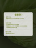 MM 山姆 有机水果甘蓝（大颗）750g 商品缩略图6