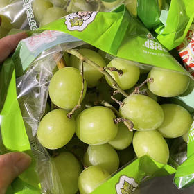 宏丰精选 进口甜地球青提  脆甜爽口  活动价23.8元一斤