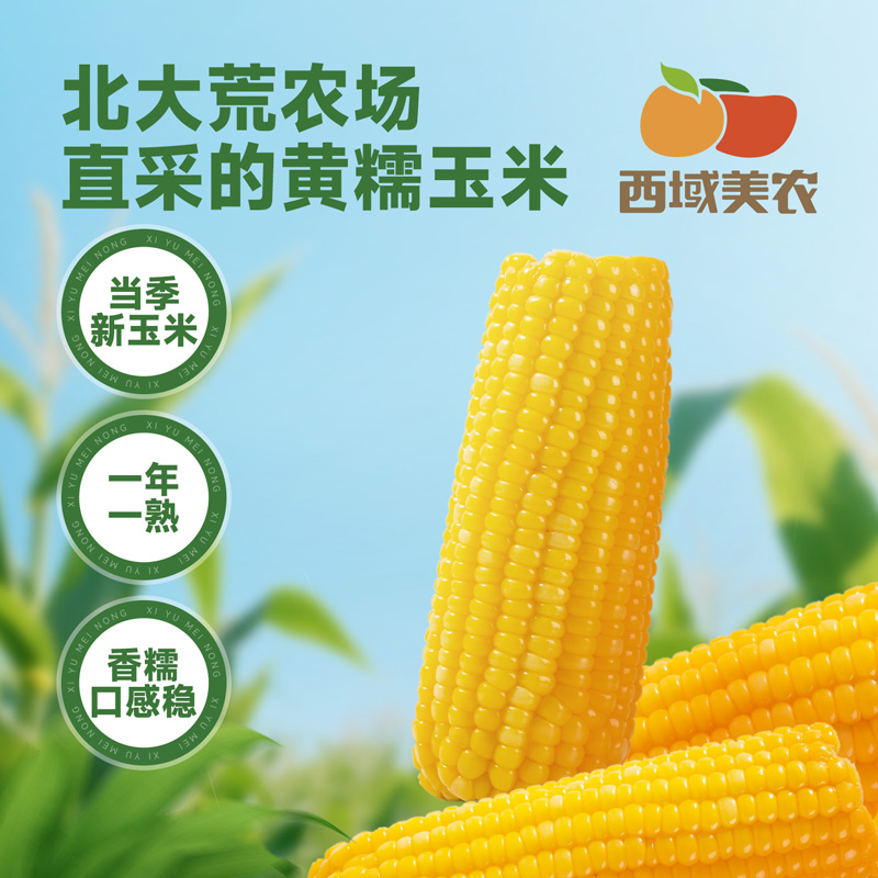 西域美农糯玉米240g*8根 东北黄糯玉米棒 低脂粗粮 早餐苞米 杂粮
