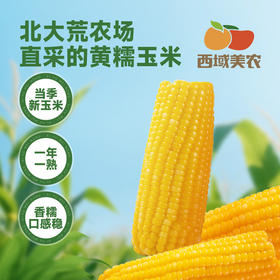 西域美农糯玉米240g*8根 东北黄糯玉米棒 低脂粗粮 早餐苞米 杂粮