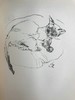 1930年 迈克尔·约瑟夫《猫咪的陪伴》 配大量手绘速写画 漆布精装16开 商品缩略图11