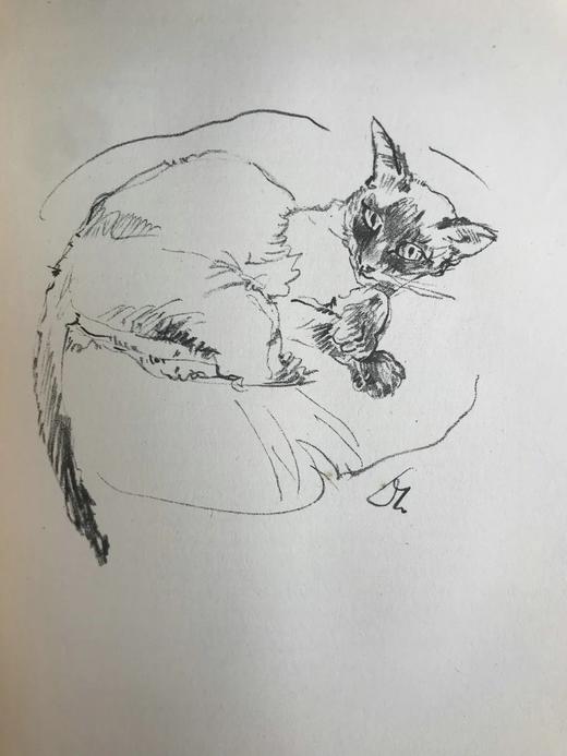 1930年 迈克尔·约瑟夫《猫咪的陪伴》 配大量手绘速写画 漆布精装16开 商品图11