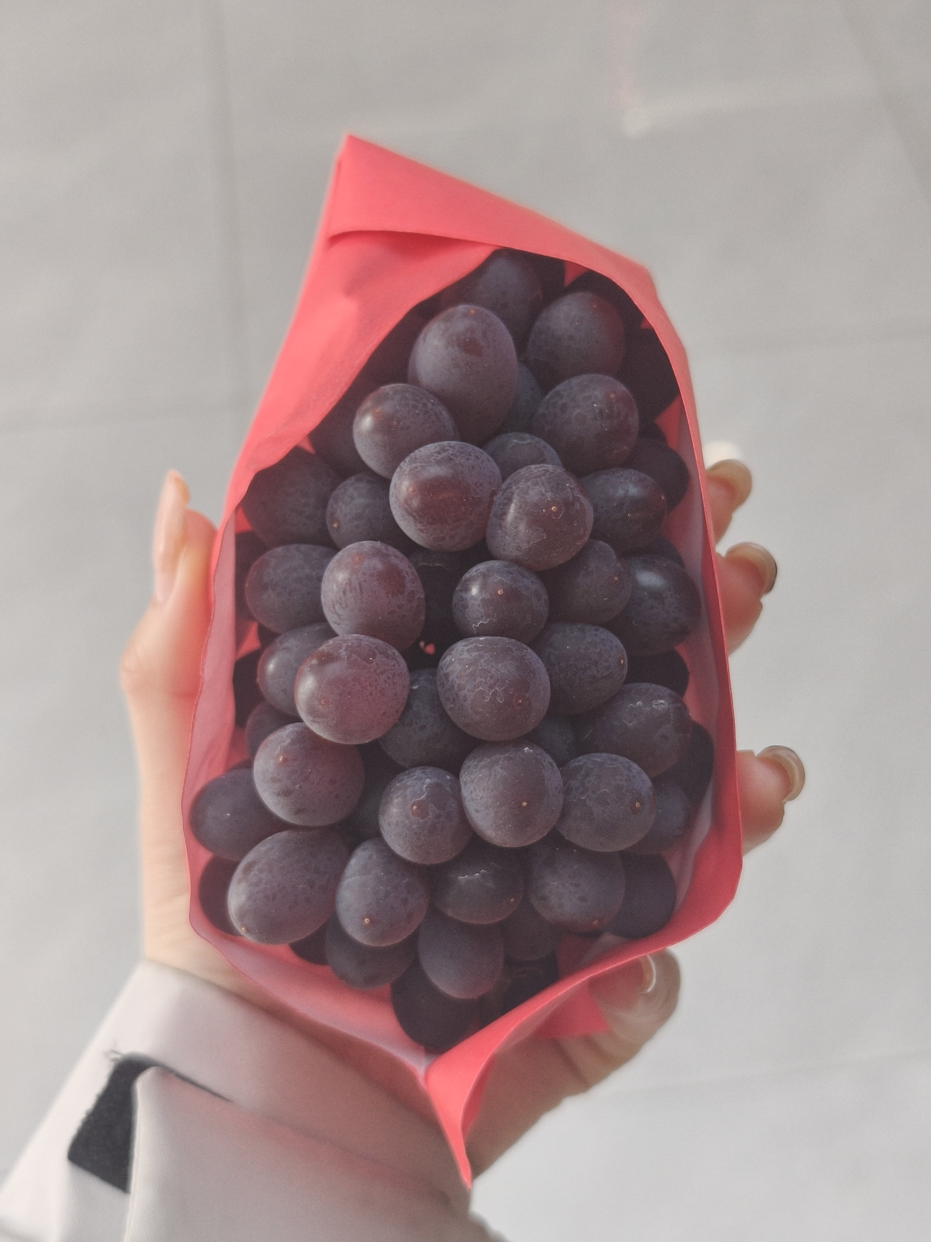 茉莉香小粒鲜葡萄