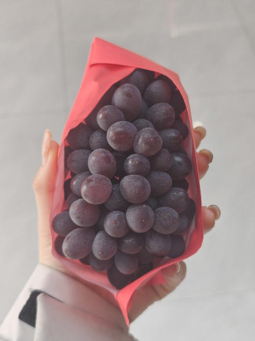 茉莉香小粒鲜葡萄 商品图0