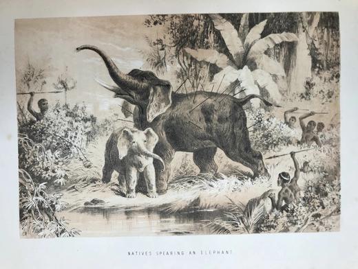 约19世纪后期 利文斯通的生平与探险 数十幅插图 全真皮精装大16开 商品图9