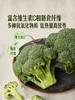 MM 山姆 有机西兰花 600g 商品缩略图4