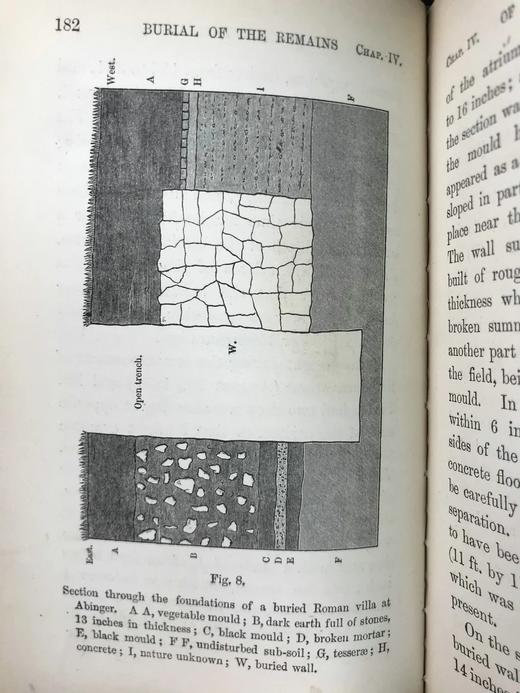 1888年 达尔文《腐植土的形成：蚯蚓的作用及其习性观察》 配插图 精装32开 商品图8