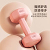 ⛺凯速KANSOON | 凯速跳操哑铃 商品缩略图2
