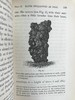 1888年 达尔文《腐植土的形成：蚯蚓的作用及其习性观察》 配插图 精装32开 商品缩略图6