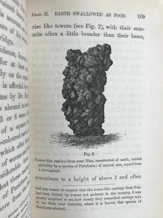 1888年 达尔文《腐植土的形成：蚯蚓的作用及其习性观察》 配插图 精装32开 商品图6