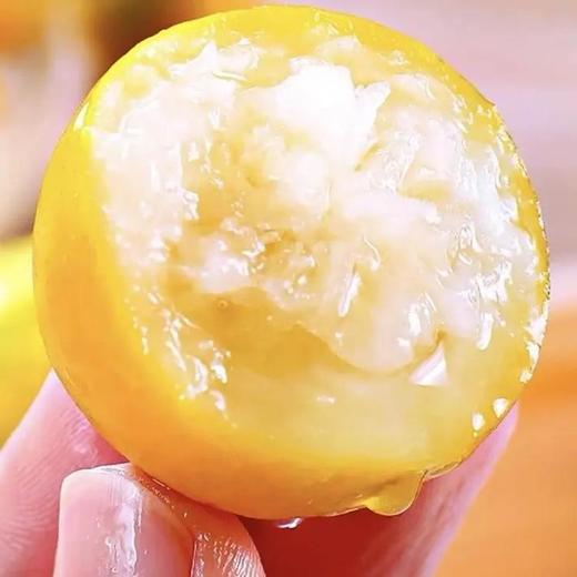 B1F【自采水果】脆蜜金桔5号果  规格：650g （取货日期：4月16日） 商品图1