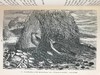 工坊特装本！1906年 宏观与微观宇宙 276幅版画插图 全真皮精装大32开 商品缩略图7