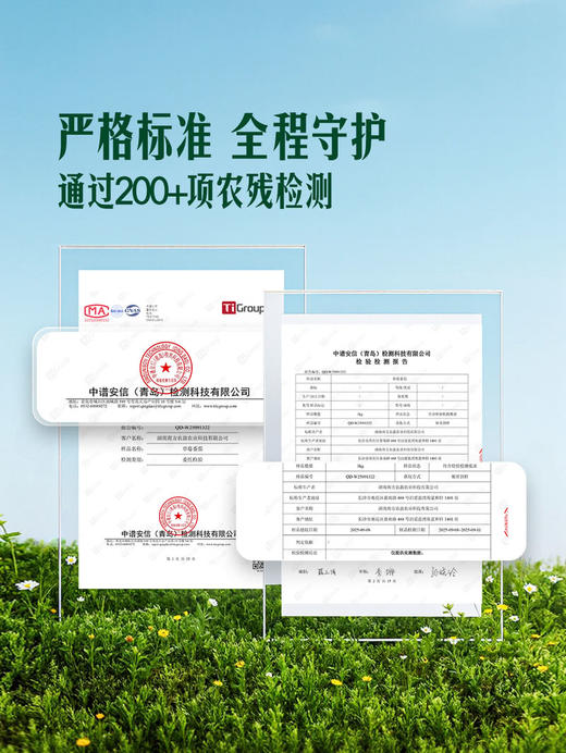 MM 山姆 草莓番茄 1.25kg 商品图3
