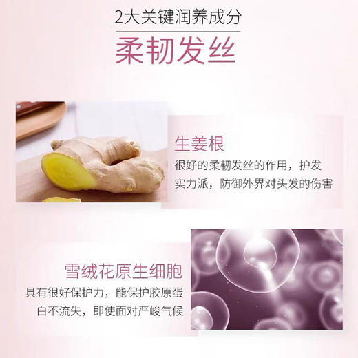 【卡诗洗发水元气姜】柔韧顺滑 清爽控油 强健发丝 80ml*3瓶 商品图2