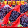 茉莉香葡萄 商品缩略图0