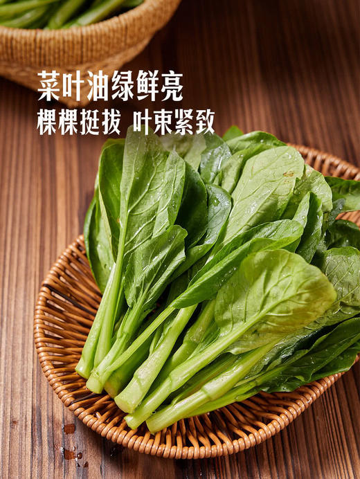 MM 山姆 Member's Mark 有机菜心 600g 商品图4