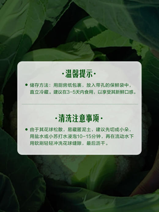 MM 山姆 松花菜 800g 商品图6