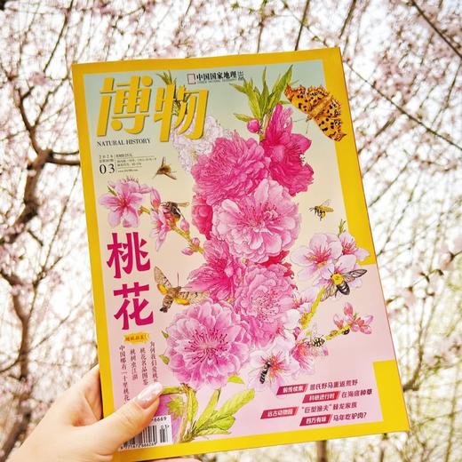 《博物》 自然人文综合知识类杂志 已更新至2026年四月刊（第4期） 《中国国家地理》青春版 科普百科 商品图8