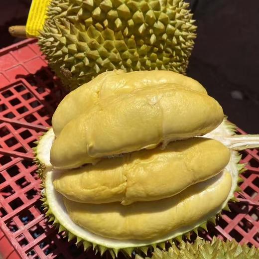【斌哥优选】泰国进口甲仑鲜榴莲，味道狂野，回味似蜜，未经改良老品种。到手需先辨生熟，生劈不售后哦~ 商品图4