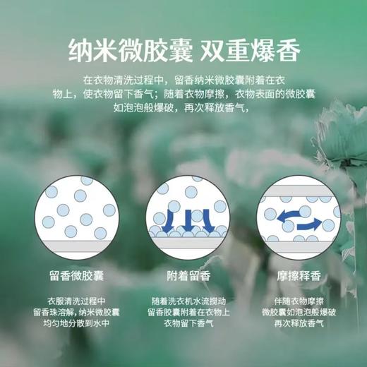 卜纷5D洗衣凝珠浓香型强力去污渍洁净留香护色三效合一爆款家庭装 商品图3
