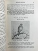 1911年 赫德森《英国鸟类》 8幅彩色百余幅黑白插图 全真皮精装32开 商品缩略图13