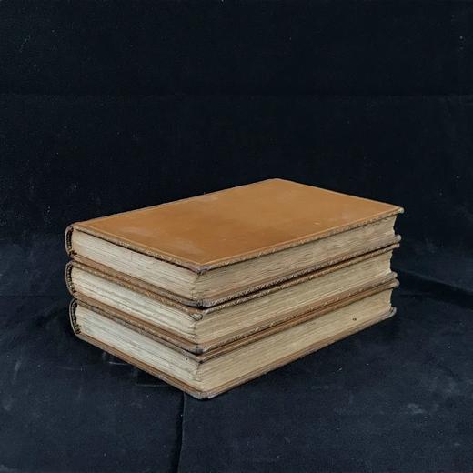 约19世纪后期 霍姆斯《早餐桌系列散文集》（全3卷） 全真皮精装36开 商品图1