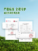 MM 山姆 翠绿西葫芦 1kg 商品缩略图3