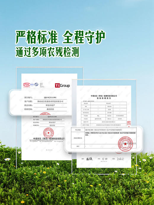 MM 山姆 翠绿西葫芦 1kg 商品图3