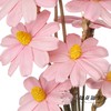 永生花 | 单层瓜子花浅粉色 商品缩略图0